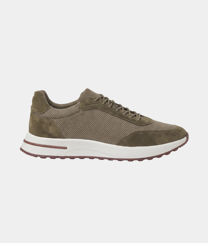 Olive Riviera
